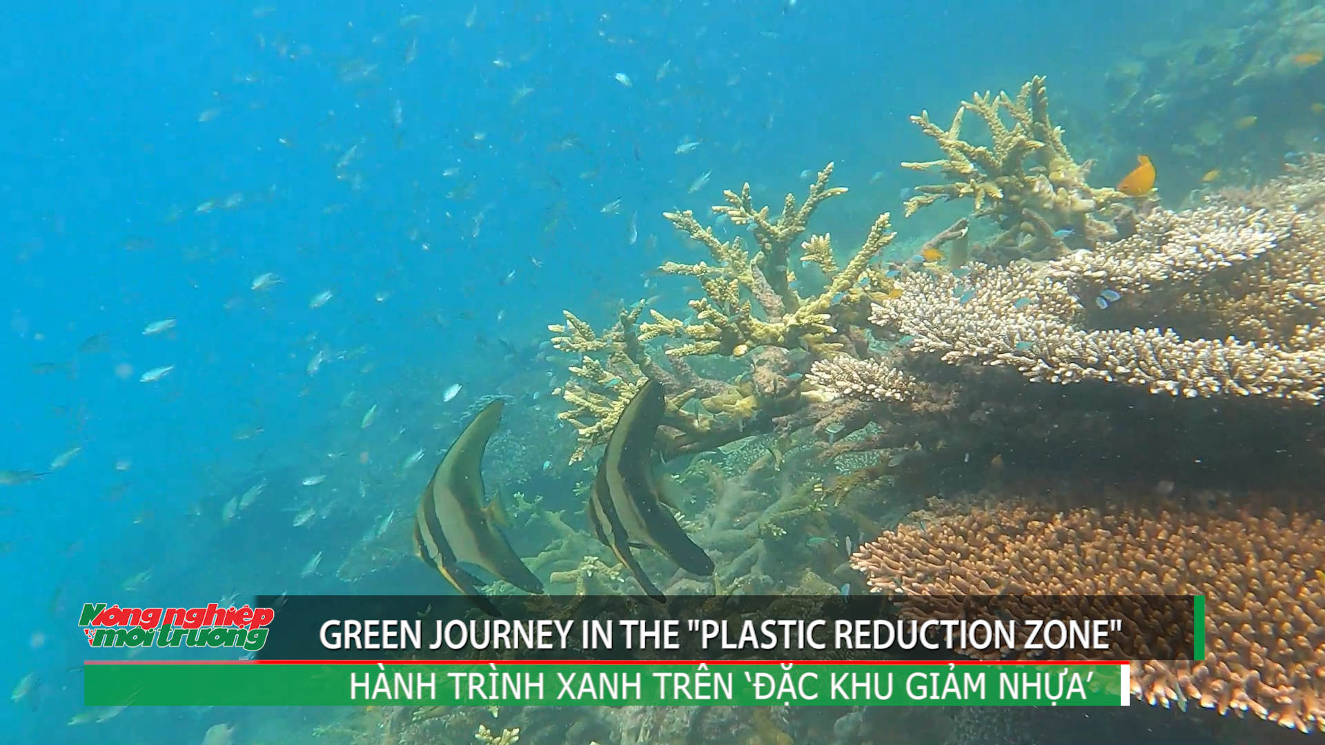 Green journey in the 